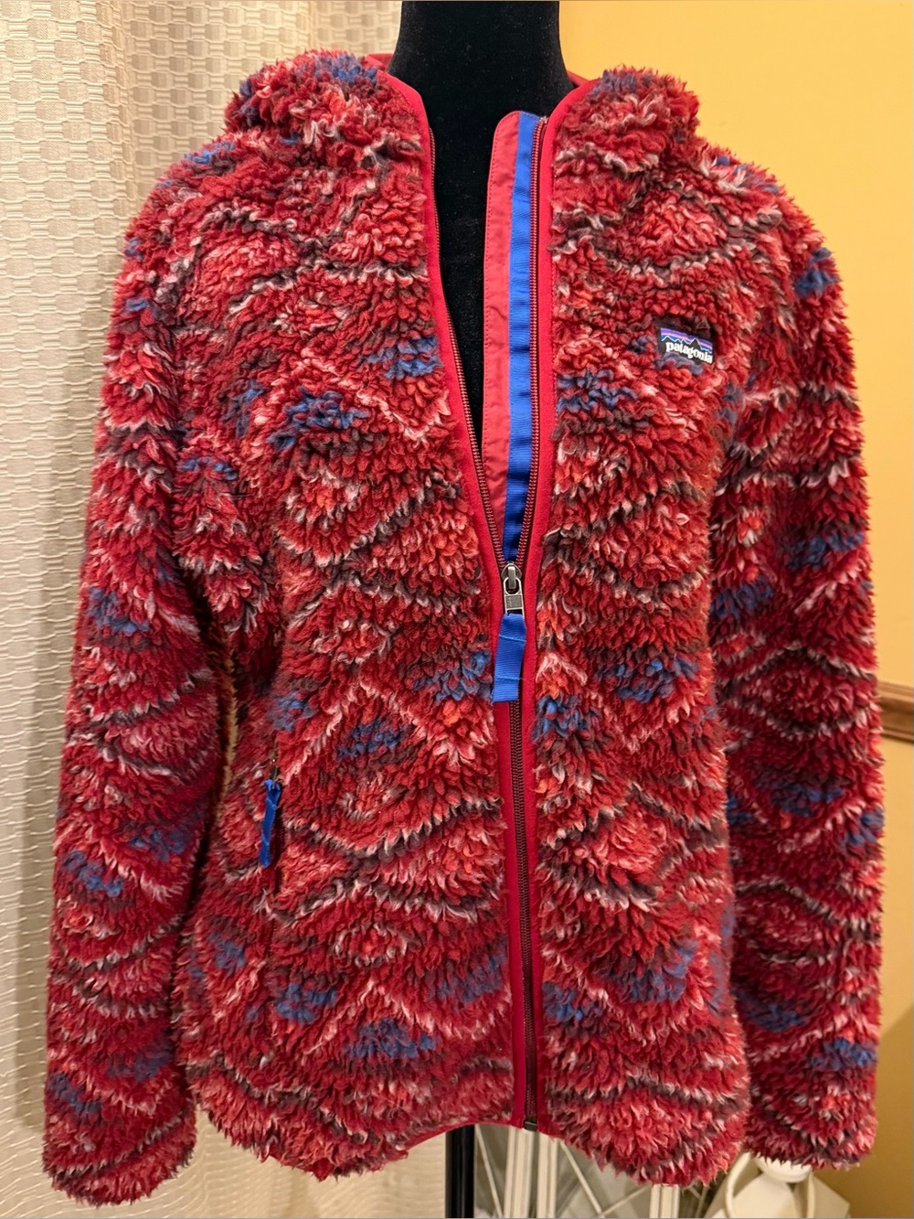 Patagonia Aztec Retro-X Thick Fleece Hooded Jacket